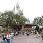 Disney Magic Kingdom Orlando - 056